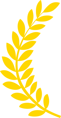 Auszeichnung Dekoration links